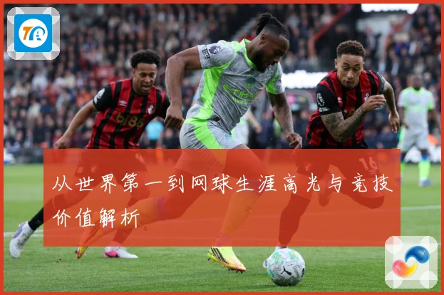 从世界第一到网球生涯高光与竞技价值解析