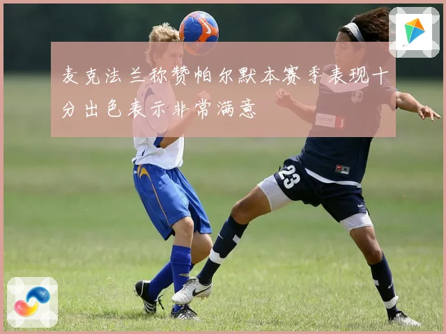 麦克法兰称赞帕尔默本赛季表现十分出色表示非常满意
