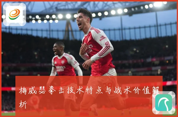 梅威瑟拳击技术特点与战术价值解析
